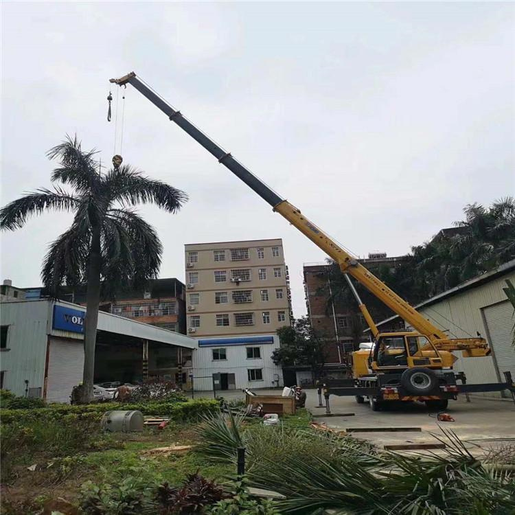 什运乡汽车吊出租多少钱？全面解析与市场行情